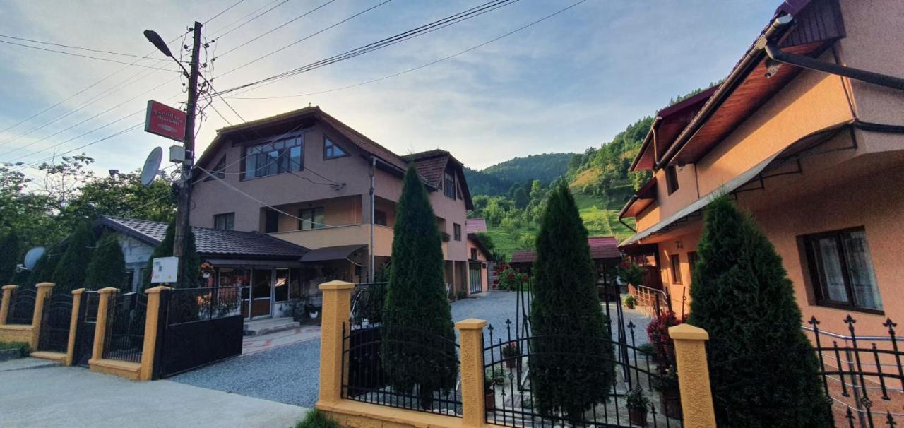 Pensiunea Apuseni Vidra  Exterior foto