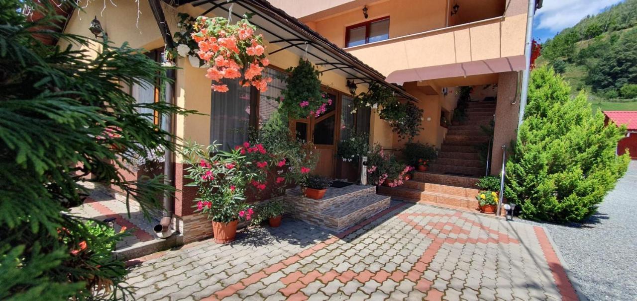 Pensiunea Apuseni Vidra  Exterior foto