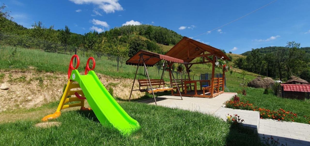 Pensiunea Apuseni Vidra  Exterior foto