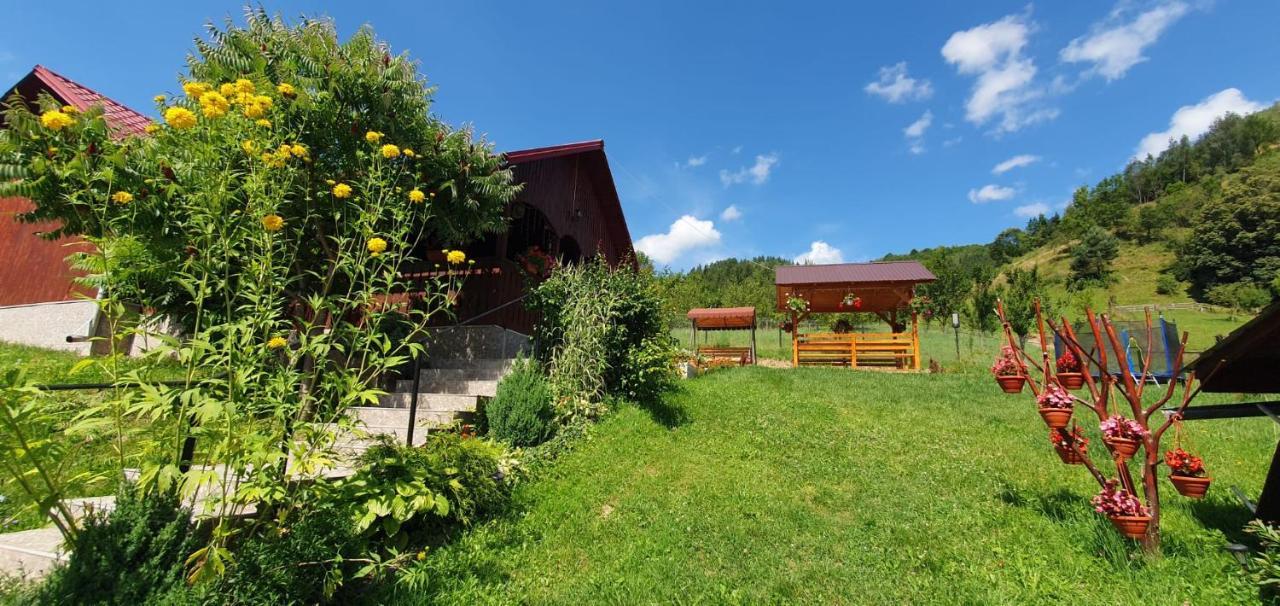 Pensiunea Apuseni Vidra  Exterior foto