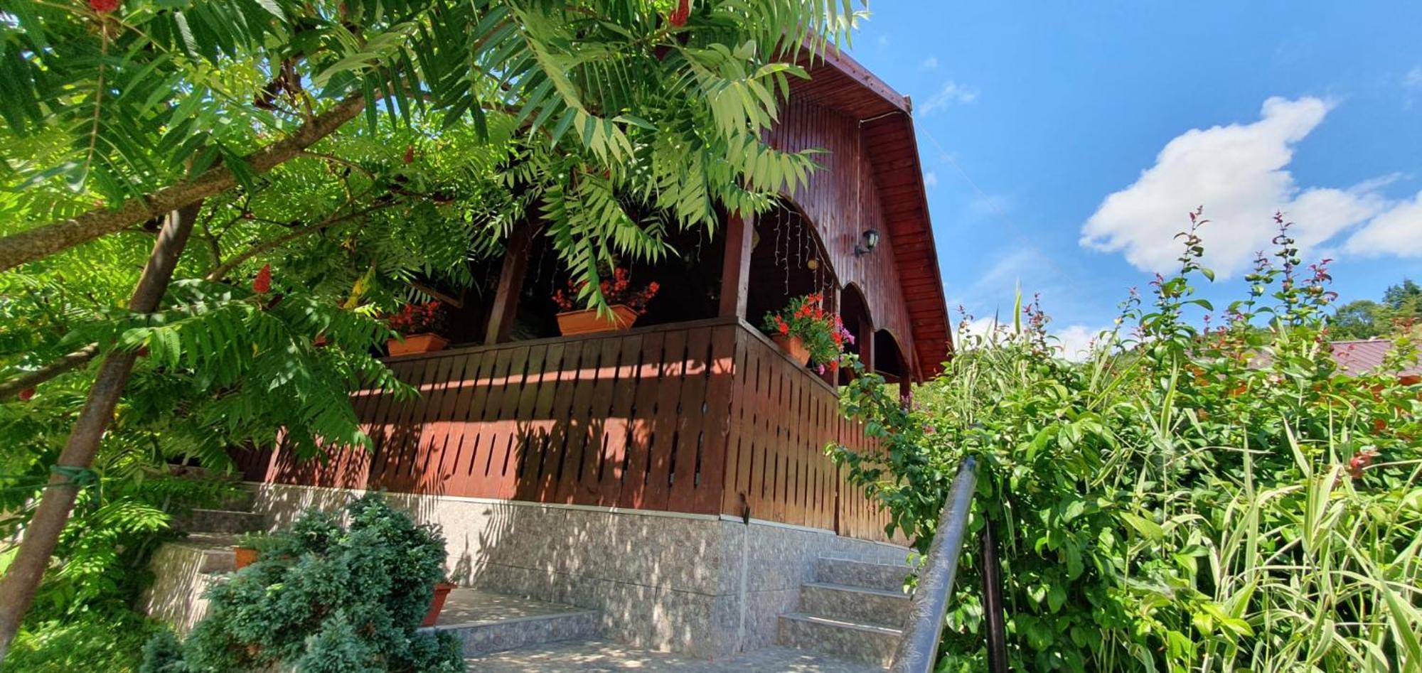 Pensiunea Apuseni Vidra  Exterior foto