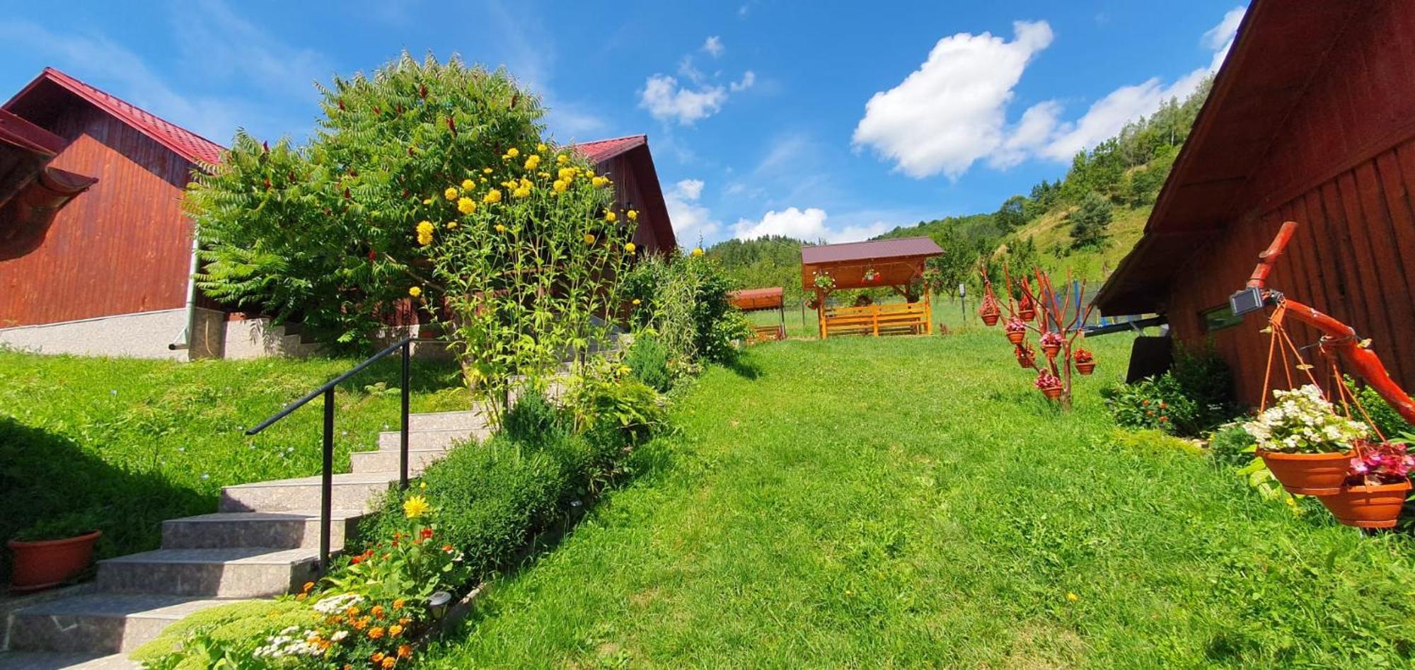 Pensiunea Apuseni Vidra  Exterior foto