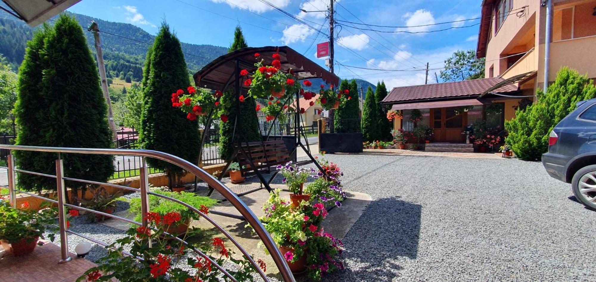 Pensiunea Apuseni Vidra  Exterior foto