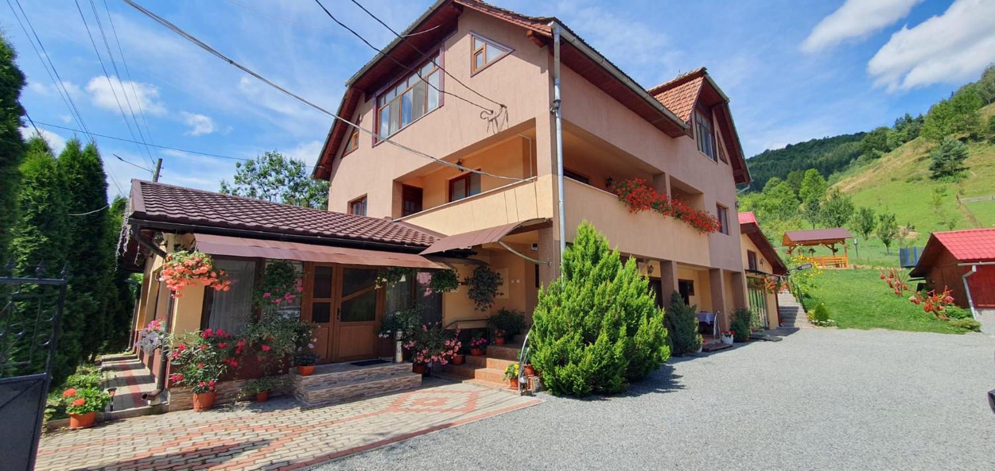 Pensiunea Apuseni Vidra  Exterior foto