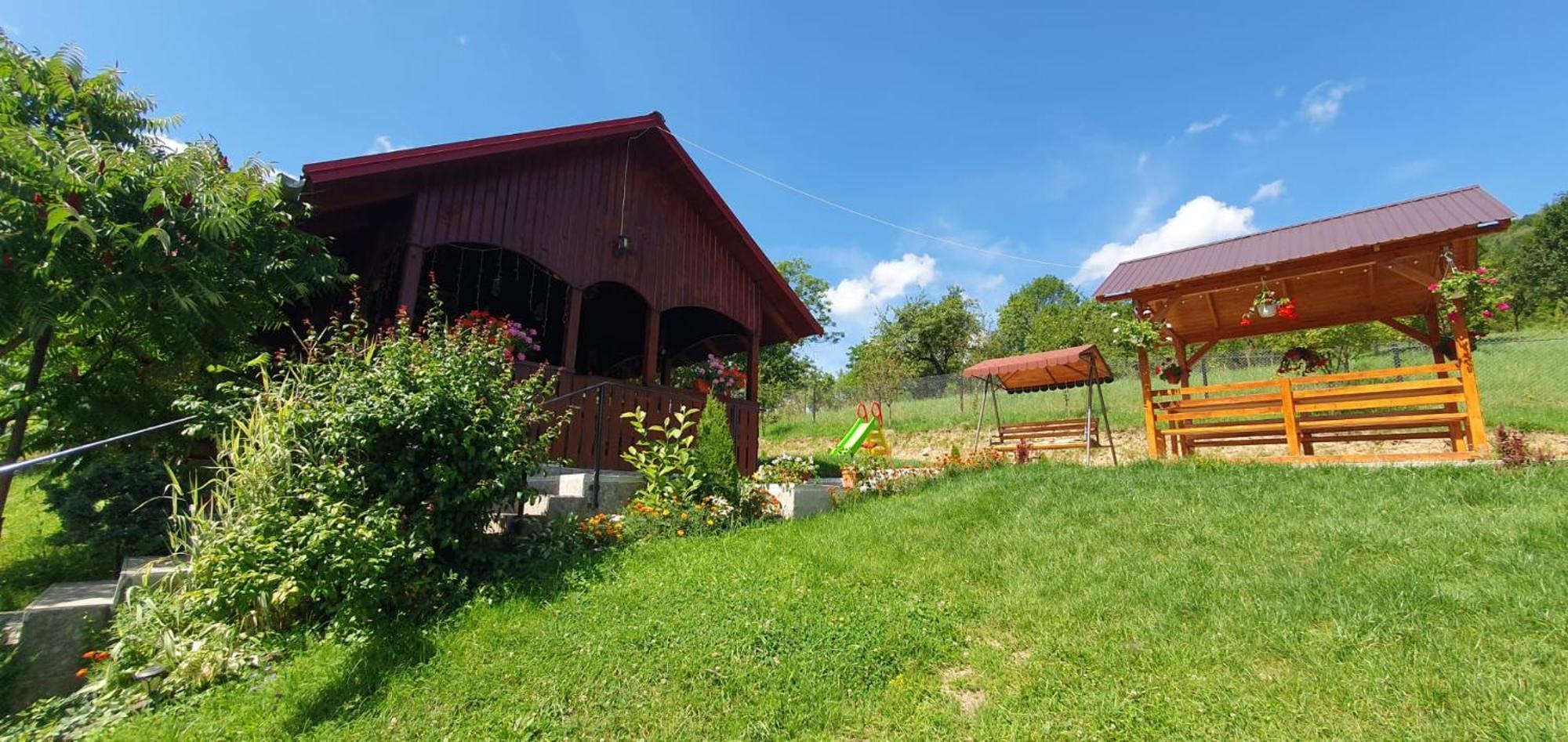 Pensiunea Apuseni Vidra  Exterior foto