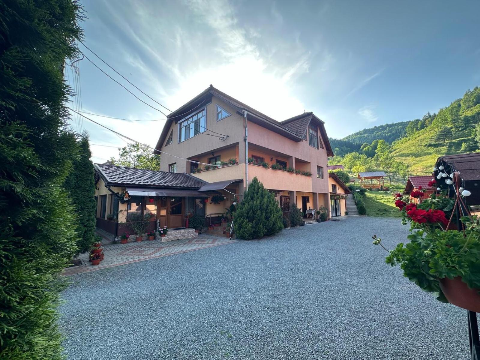 Pensiunea Apuseni Vidra  Exterior foto