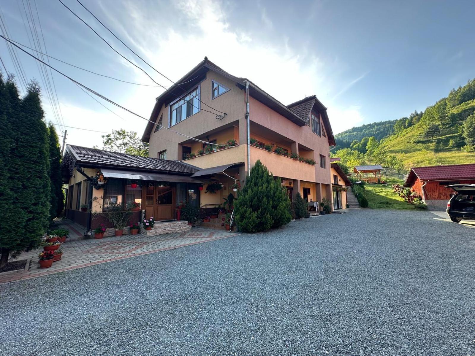 Pensiunea Apuseni Vidra  Exterior foto